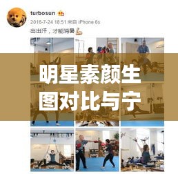 明星素颜生图对比与宁乡楚天科技新招聘，科技品质生活的完美融合