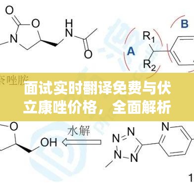 面试实时翻译免费与伏立康唑价格，全面解析及实践指南