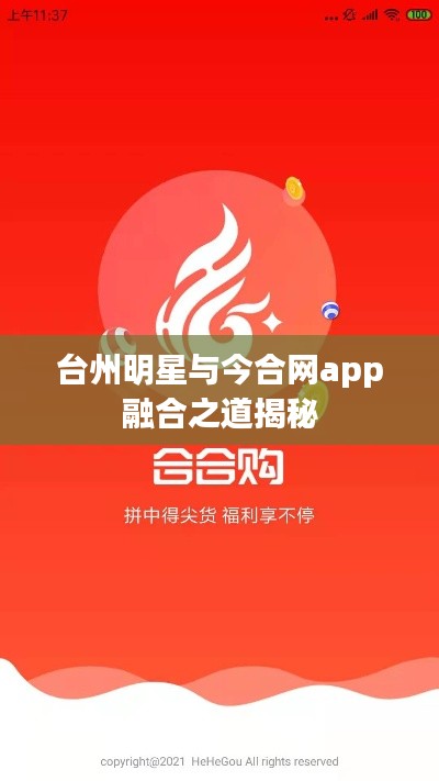 台州明星与今合网app融合之道揭秘