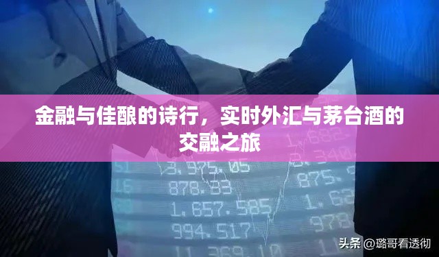 金融与佳酿的诗行，实时外汇与茅台酒的交融之旅