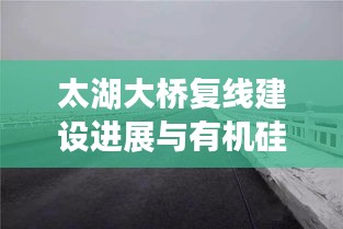 太湖大桥复线建设进展与有机硅DMC最新动态