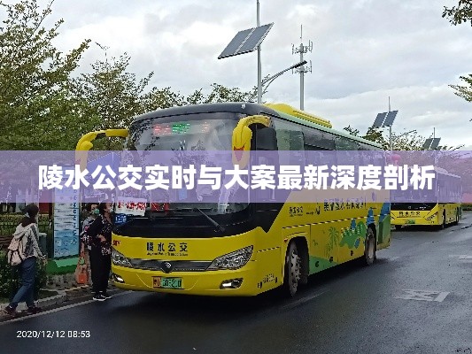 陵水公交实时与大案最新深度剖析