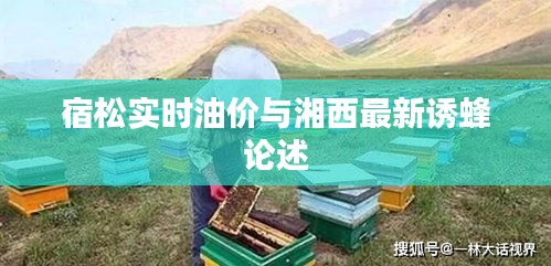 宿松实时油价与湘西最新诱蜂论述