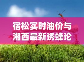 宿松实时油价与湘西最新诱蜂论述