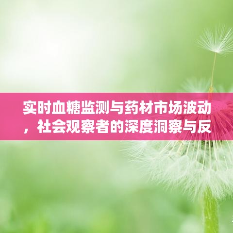 实时血糖监测与药材市场波动,社会观察者的深度洞察与反思