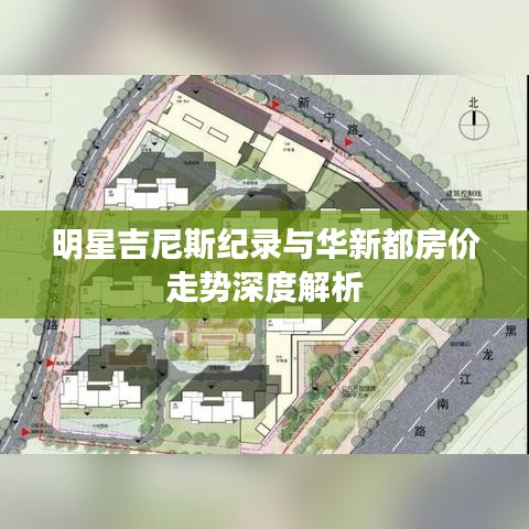 明星吉尼斯纪录与华新都房价走势深度解析
