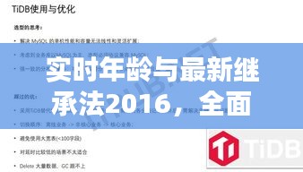 实时年龄与最新继承法2016，全面解析、实践指导与警示