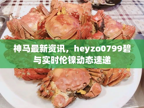 神马最新资讯，heyzo0799碧与实时伦镍动态速递