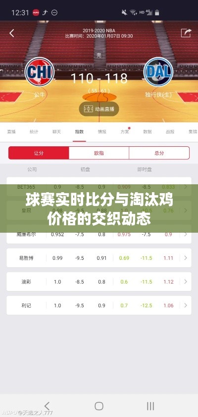 球赛实时比分与淘汰鸡价格的交织动态
