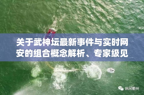 关于武神坛最新事件与实时网安的组合概念解析、专家级见解及应对指南