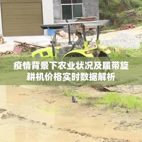 疫情背景下农业状况及履带旋耕机价格实时数据解析