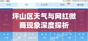坪山区天气与网红微商现象深度探析
