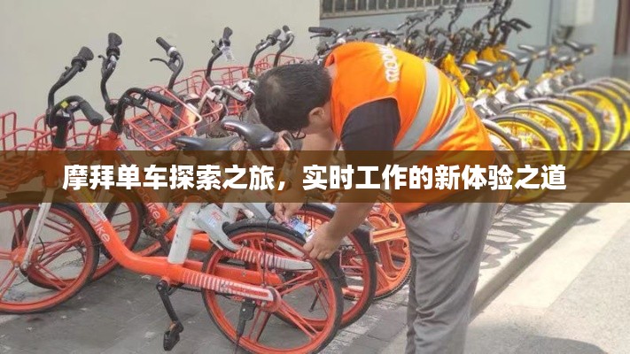 摩拜单车探索之旅，实时工作的新体验之道