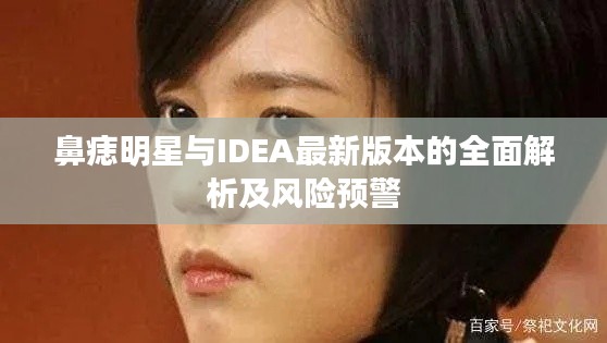 鼻痣明星与IDEA最新版本的全面解析及风险预警