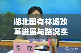 湖北国有林场改革进展与路况实时播报，最新动态，不容错过！