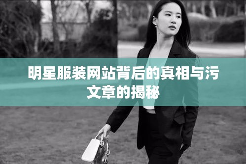 明星服装网站背后的真相与污文章的揭秘