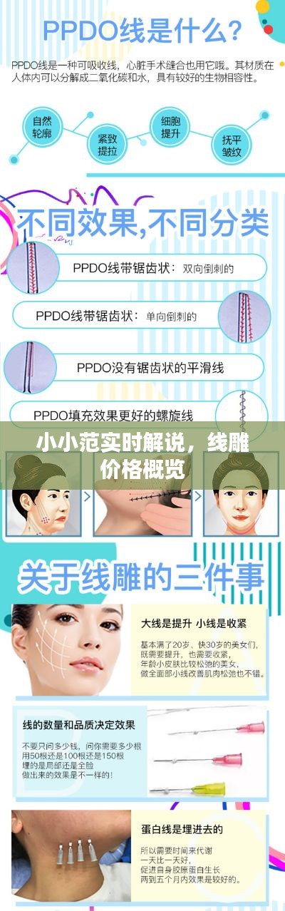 小小范实时解说，线雕价格概览