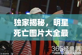独家揭秘，明星死亡图片大全最新站点theync——真相一网打尽