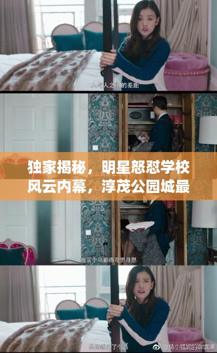 独家揭秘，明星怒怼学校风云内幕，淳茂公园城最新动态全解析！