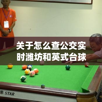 关于怎么查公交实时潍坊和英式台球价格的分析