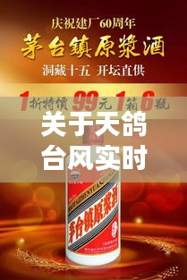 关于天鸽台风实时动态与茅台原浆酒价格及图片的探讨