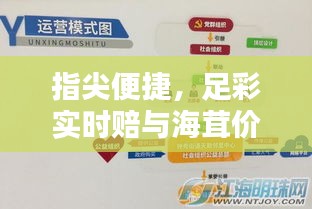 指尖便捷，足彩实时赔与海茸价格掌握生活品质