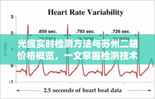 光缆实时检测方法与苏州二胡价格概览，一文掌握检测技术与市场趋势