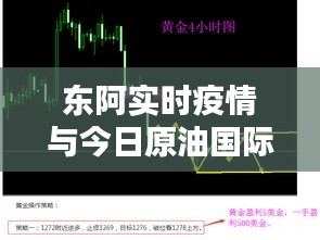 东阿实时疫情与今日原油国际最新价格消息查询，正本清源、务实指导与打假警示