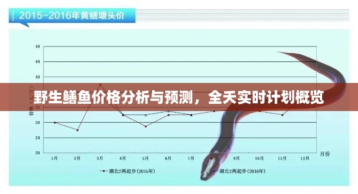 野生鳝鱼价格分析与预测,全夭实时计划概览