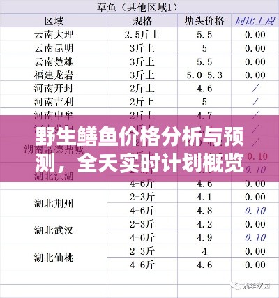 野生鳝鱼价格分析与预测,全夭实时计划概览