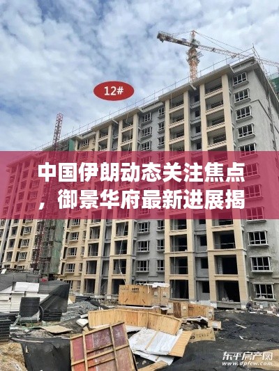 中国伊朗动态关注焦点,御景华府最新进展揭秘