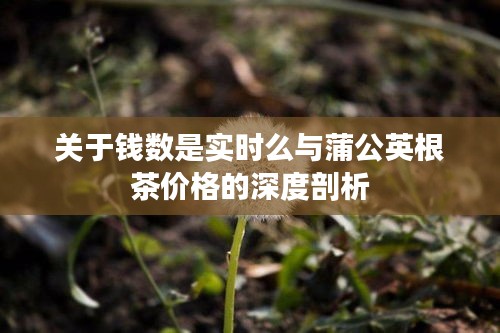 关于钱数是实时么与蒲公英根茶价格的深度剖析