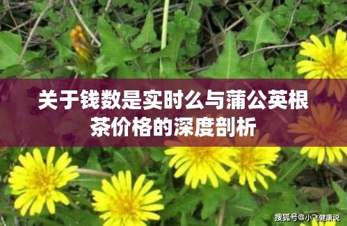 关于钱数是实时么与蒲公英根茶价格的深度剖析