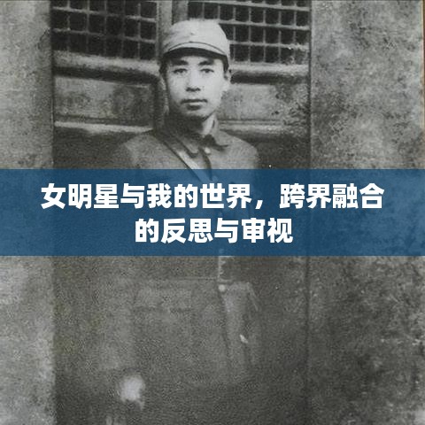 女明星与我的世界,跨界融合的反思与审视