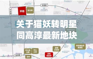 关于猫妖转明星同高淳最新地块的语境关系解析
