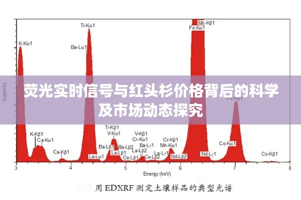 荧光实时信号与红头杉价格背后的科学及市场动态探究