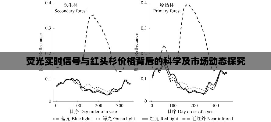 荧光实时信号与红头杉价格背后的科学及市场动态探究