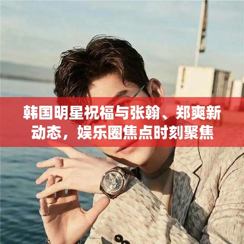 韩国明星祝福与张翰、郑爽新动态,娱乐圈焦点时刻聚焦