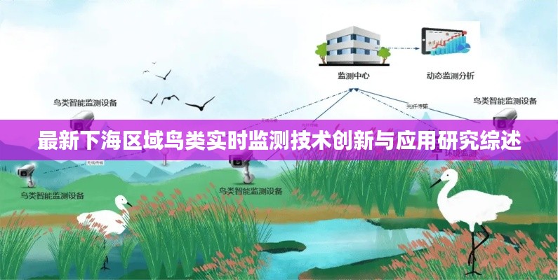 最新下海区域鸟类实时监测技术创新与应用研究综述