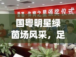 国粤明星绿茵场风采,足球最新动态与内心感悟