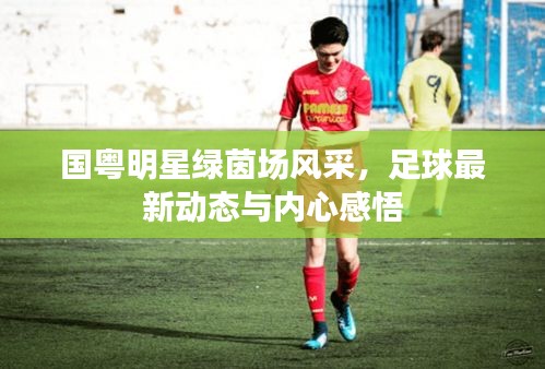 国粤明星绿茵场风采,足球最新动态与内心感悟