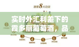 实时外汇利差下的霞多丽葡萄酒,品质生活的便捷享受体验