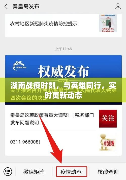 湖南战疫时刻,与英雄同行,实时更新动态