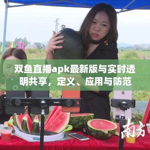 双鱼直播apk最新版与实时透明共享,定义、应用与防范
