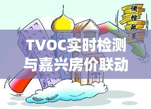 TVOC实时检测与嘉兴房价联动,居住环境健康与房地产市场新态势
