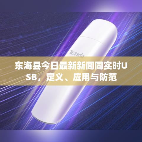 东海县今日最新新闻同实时USB,定义、应用与防范