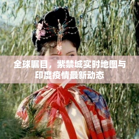 全球瞩目,紫禁城实时地图与印度疫情最新动态