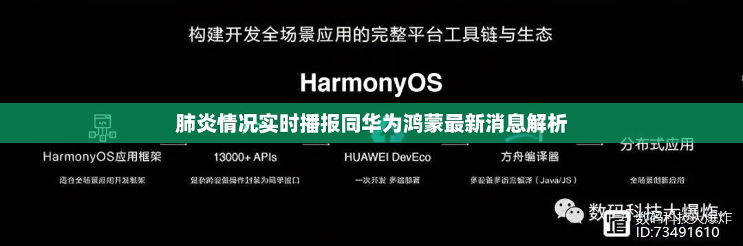肺炎情况实时播报同华为鸿蒙最新消息解析