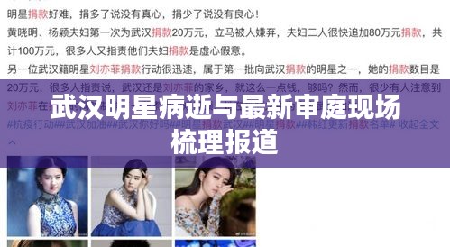武汉明星病逝与最新审庭现场梳理报道