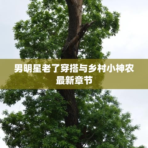 男明星老了穿搭与乡村小神农最新章节